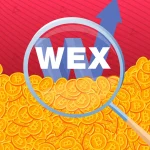 Як з адміном WEX розмовляли у ФСБ